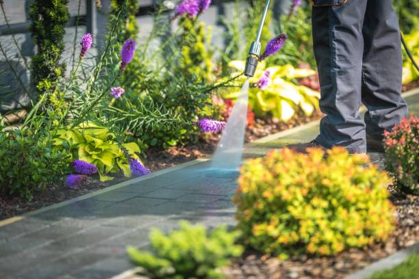 Best Boat and Dock Cleaning  in Cresskill, NJ